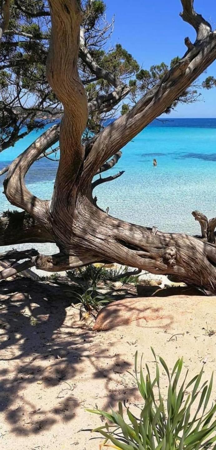 Casa Felicia Leilighet Bonifacio  Eksteriør bilde
